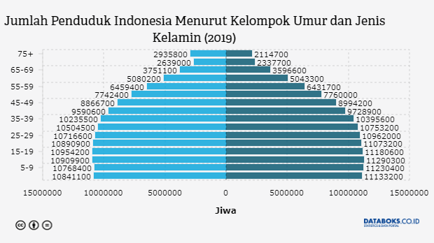 statistik penduduk indonesia